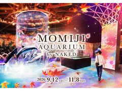 MOMIJI AQUARIUM by NAKED�̎ʐ^1