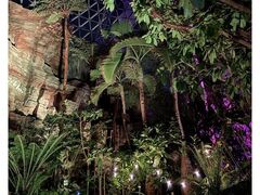 �A�����T�}�[�t�F�X�^�`Tropical Festival�`�̎ʐ^1