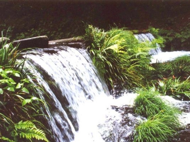 �r�R����