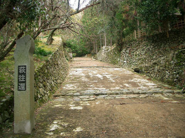 3103����̔����ҁi�R���j�̓��e�ʐ^1