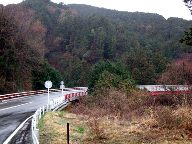 �A�l�X�g��c�@�^�[���p�C�N����