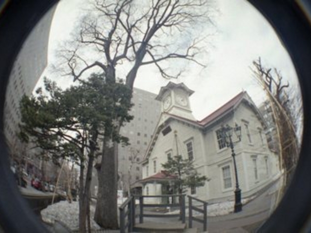 �D�y�s���v��