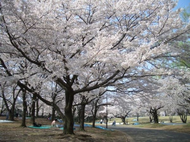 ���c����q��L�O����