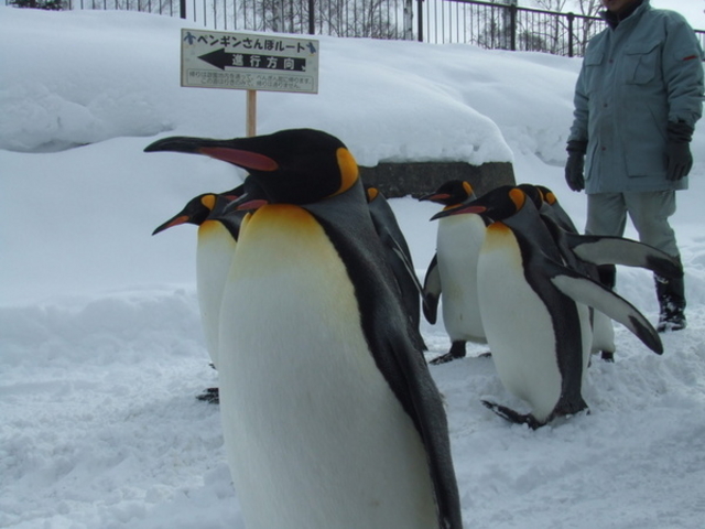 ���R������