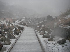 �E����?�W�]��V�����̎ʐ^1