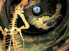 �_�ސ쌧�������̐��E�n�������ق̎ʐ^1