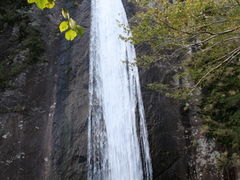 熊野古道さんの布引の滝（三重県熊野市）への投稿写真1
