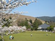 �A���`������̓ޗǌ����̍��̓��e�ʐ^1