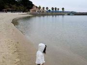 ߃pp̂킽̃p[r[`̓eʐ^1