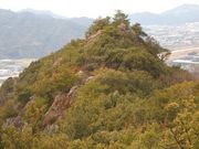 potnouse����̊⎺����̓��e�ʐ^1