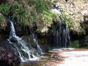 ƂЂ낳̐wn̑̓eʐ^1