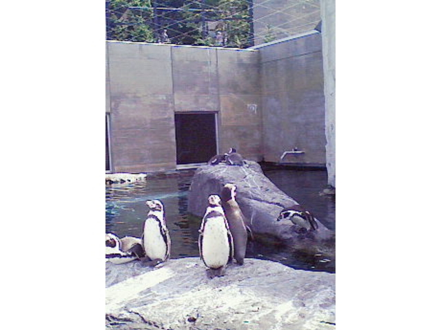 ���R������