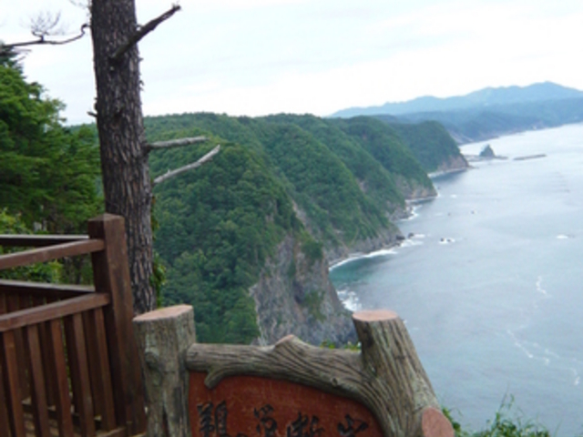 �L�̑��f�R