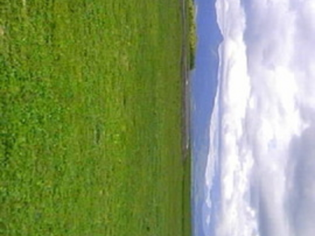 ���[�N�q���t�@�[��