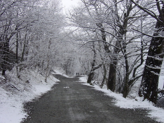 ���m��
