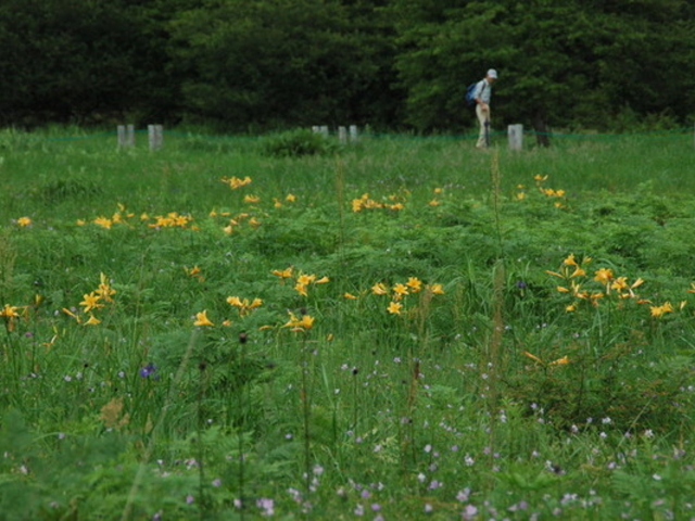 �P�E����