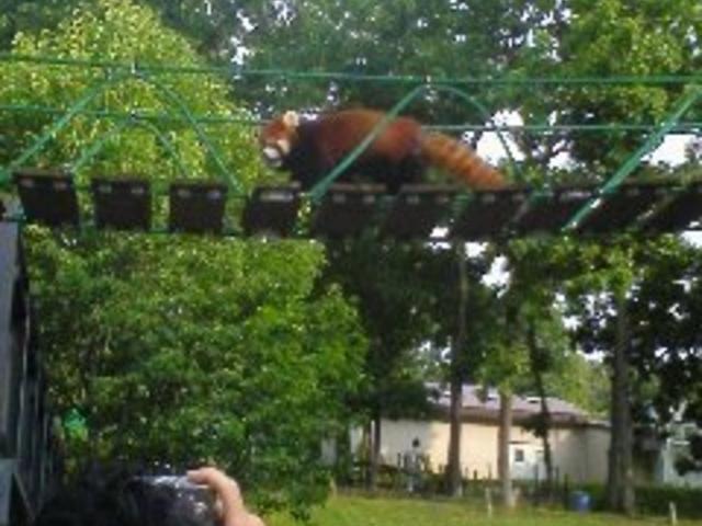 ���R������