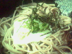 yp[~gO[̂Ώ@Vւ̓eʐ^1