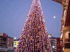 ÕA~vU JRwrւ̓eʐ^1