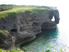 totto����̖����тւ̓��e�ʐ^1