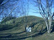 ryuji92jp̖Õ̓eʐ^1