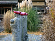 ���񂿂�񂳂�̓������̔��Ԃ̓��e�ʐ^1