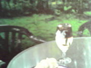 yp[~gO[̃JtF@tB[l̓eʐ^1