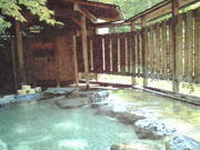 yp[~gO[̔̍gt̓eʐ^1