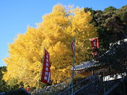 FÓ̌򎛂̎qC`E̓eʐ^1