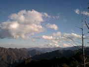 񂳂̒Ðiʌsj̓eʐ^1