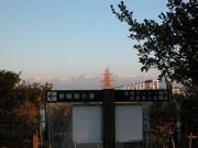 kazumiringo����̊C���o�[�h�p�[�N�^�x�R�V�`�ՊC�쒹���̓��e�ʐ^1