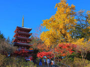 本土寺 あじさい寺 アクセス 営業時間 料金情報 じゃらんnet