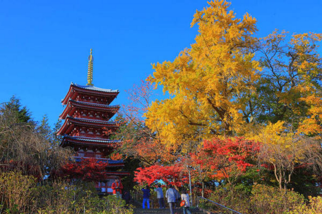 本土寺(あじさい寺)