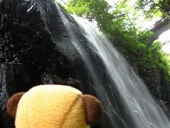 ���[����񂳂�̍���䋬�݂��{�[�g�ւ̓��e�ʐ^1