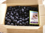 Lvẽu[x[̏Zg̓eʐ^1