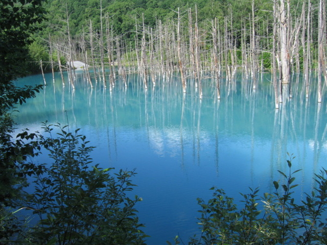 �т�����������ό��g��