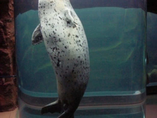 ���R������