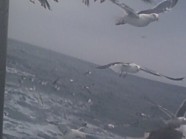 �����W�]�D��j���[���Ⴑ���񍆣