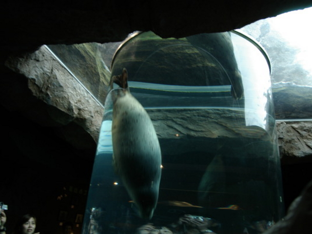 ���R������