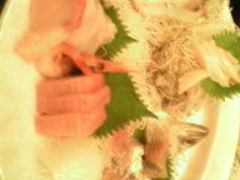 wwe.diva@docomo.ne.jp̐Vւ̓eʐ^1