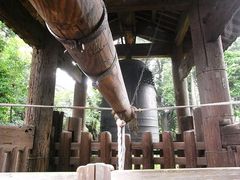 ���ł�����������ٓ̕V�������ւ̓��e�ʐ^1