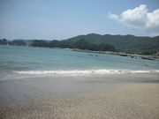 brackbird1011@yahoo.co.jp̍lC̓eʐ^1