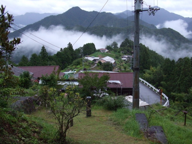 �F��Q�w�� ���ӘH (�ʖ��z��)