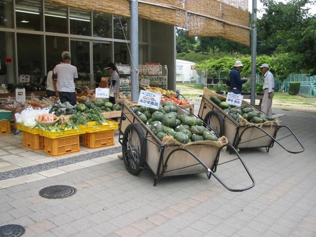 񂳂̒̂؃J[s̓eʐ^1