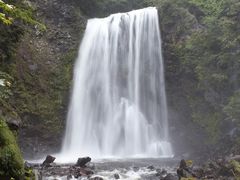 낤̑PܘY̑ւ̓eʐ^1