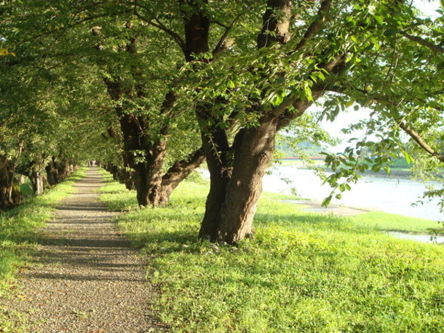 �O�ؓ����̍�����