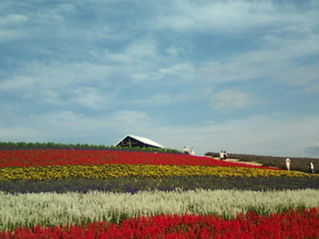 ���x���_�[��