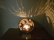 ݂Ⴓ̃M[厺q̓eʐ^1