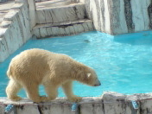 �~�R������