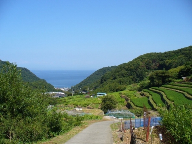 �Ε�����